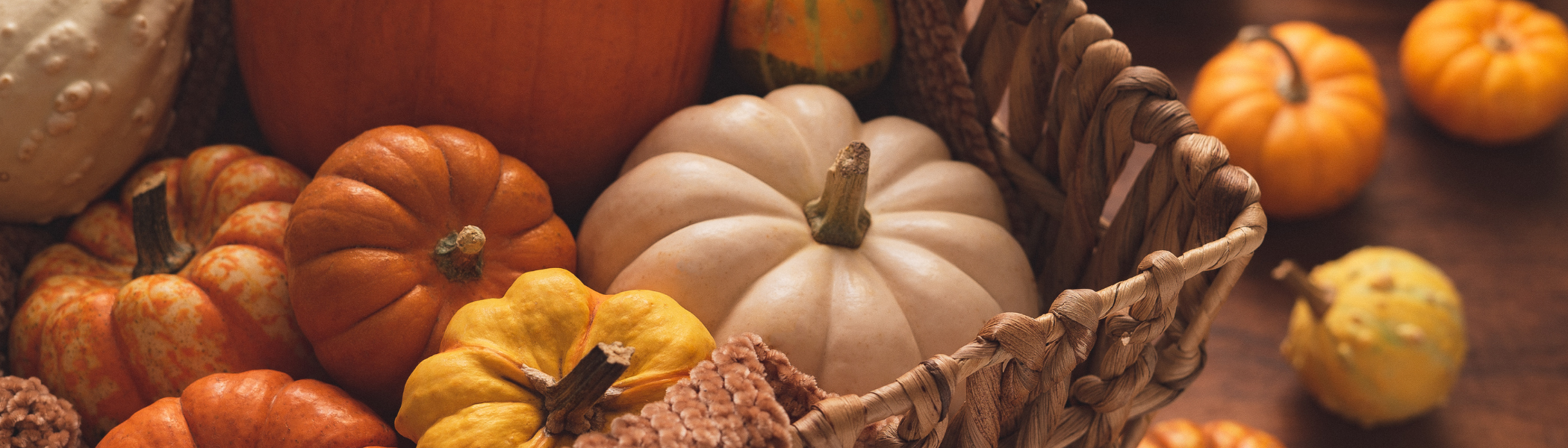 Fall Safety
