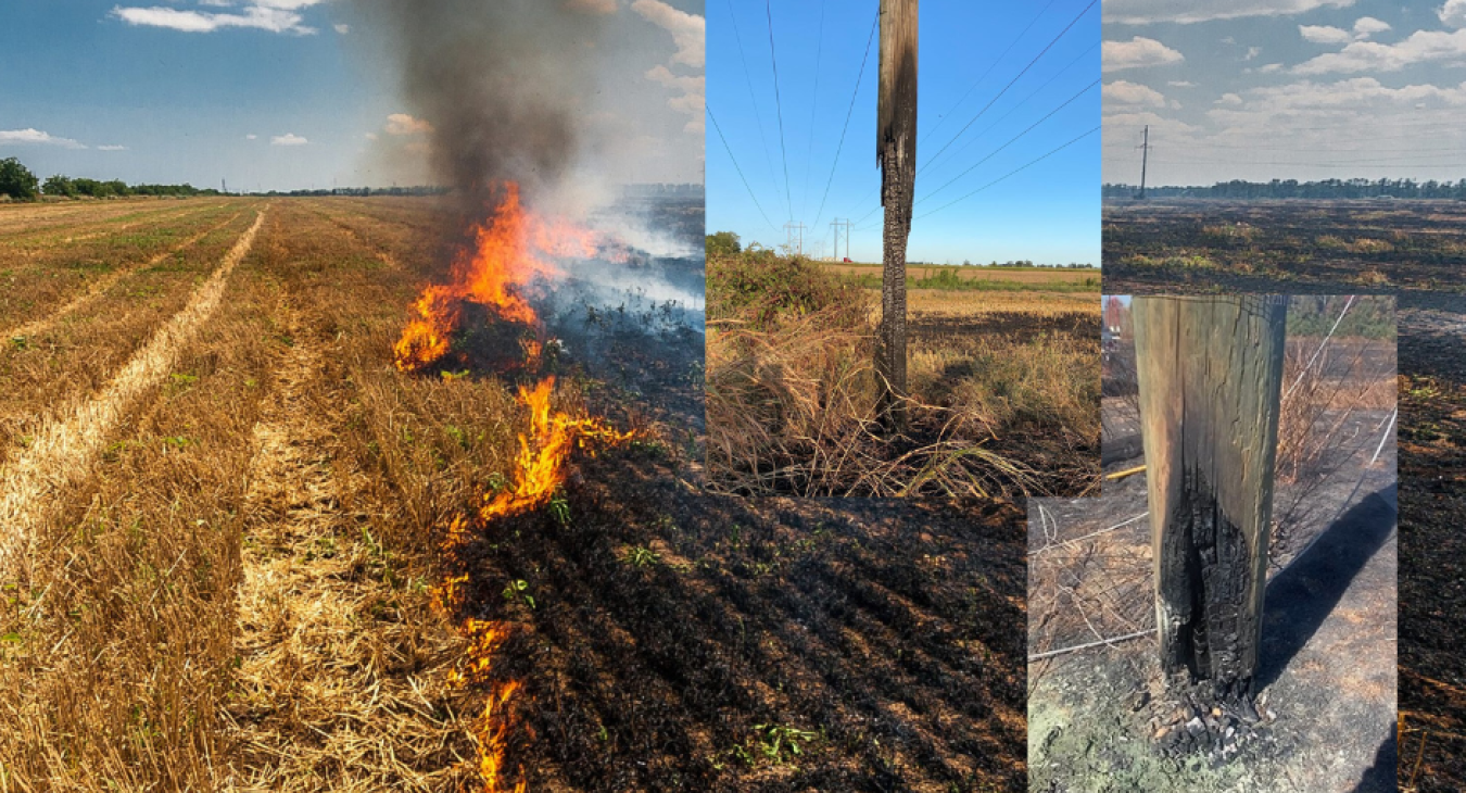 Controlled Burn