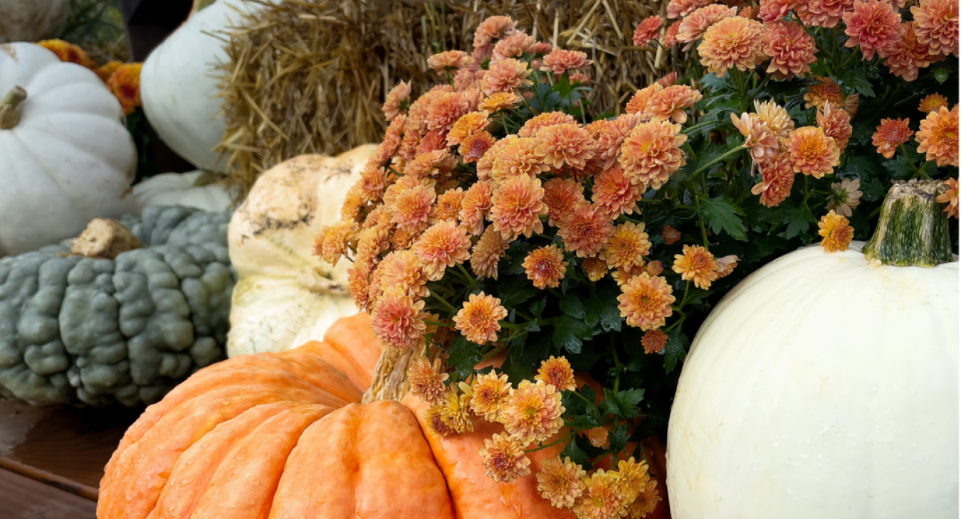 It's Fall!